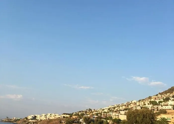 Duplex With Spectacular Sea View In Yalikavak Villa *